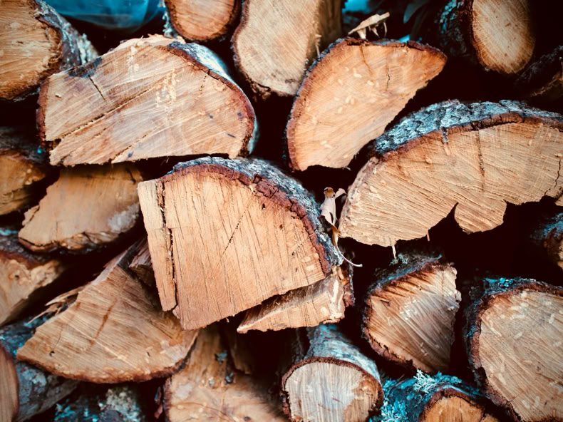 Brenn- und Kaminholzstapel aus L&auml;rche